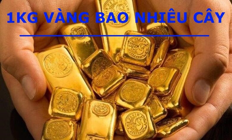 1Kg Vàng Bằng Bao Nhiêu Cây Vàng? Giá 1 Cây Vàng Hôm Nay