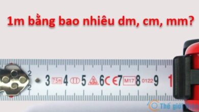 1m bằng bao nhiêu cm, dm, mm - Thế giới Điện cơ
