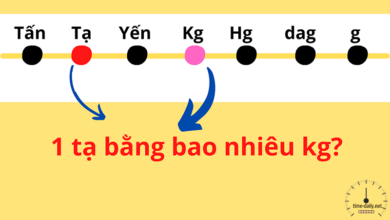 Rất Hay: 1 tạ bằng bao nhiêu kg, cách đổi tạ sang kg (ký) chính xác
