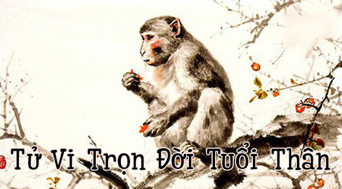 Sinh năm 2004 năm nay bao nhiêu tuổi - Thiên Tuệ