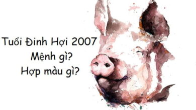 Sinh năm 2007 mệnh gì? Năm nay bao nhiêu tuổi? - Ngày Âm Lịch