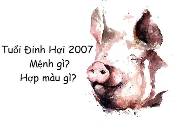 Sinh năm 2007 mệnh gì? Năm nay bao nhiêu tuổi? - Ngày Âm Lịch