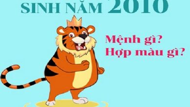 Sinh năm 2010 mệnh gì? Tuổi Canh Dần Hợp tuổi nào & Màu gì?