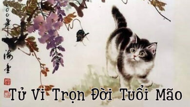 Sinh năm 2011 năm nay bao nhiêu tuổi - Thiên Tuệ