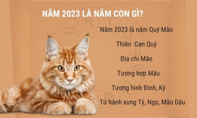 Năm 2023 là năm con gì? Mệnh gì? Tuổi Quý Mão hợp Tuổi nào?
