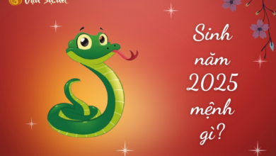 Sinh Năm 2025 - Mệnh Hỏa, Tuổi Con Rắn thuộc Trường Trung Cấp Việt Hàn (VKI)