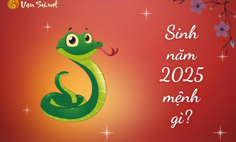 Sinh Năm 2025 - Mệnh Hỏa, Tuổi Con Rắn thuộc Trường Trung Cấp Việt Hàn (VKI)