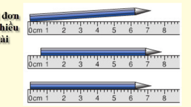 2 dm bằng bao nhiêu cm? Làm sao để đổi đơn vị đo chiều dài?