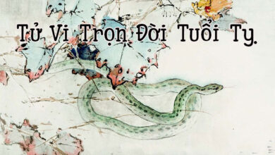 Sinh năm 2013 năm nay bao nhiêu tuổi - Thiên Tuệ