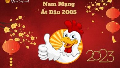 Tử Vi Tuổi Ất Dậu 2005 Năm 2023 - Nam Mạng - Vansu.net