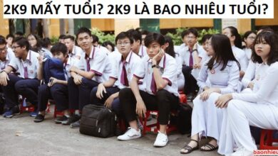 2k9 mấy tuổi, 2k9 là học lớp mấy ? – Văn Hóa Học