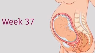 Thai 37 tuần nặng bao nhiêu? Sự phát triển thai nhi tuần 37