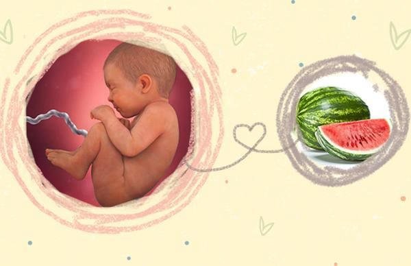 Thai 40 tuần là mấy tháng? Chưa chuyển dạ có nên mổ? - Fitobimbi