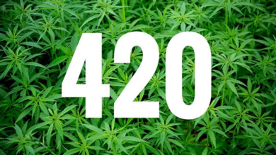 420 là gì? Ý nghĩa đặc biệt của con số 420 - Inlogo