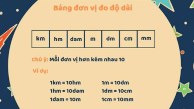 4m bằng bao nhiêu dm? Bạn có biết đổi đơn vị đo chiều dài?