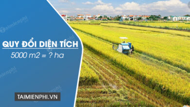5000m2 Bằng Bao Nhiêu Ha