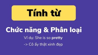 Kiến thức tính từ (Adjective) trong tiếng Anh: Vị trí, cách dùng & Bài tập