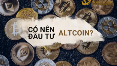 Altcoin là gì? Top 10 Altcoin đang được đầu tư nhiều nhất