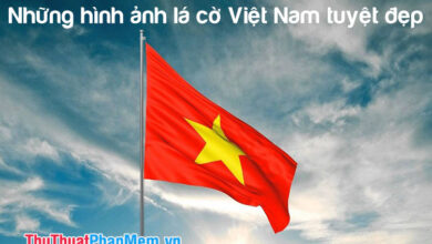 ảnh Lá Cờ Việt Nam