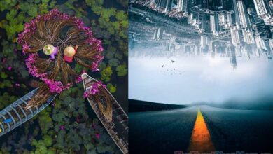 Anh Nghe Thuat Dep Nhat