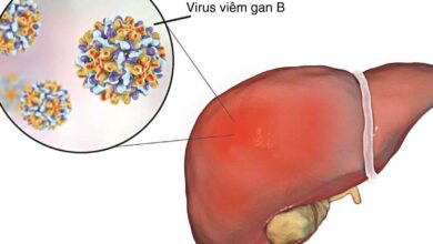 Anti HBs là gì? Chỉ số anti HBs trong cơ thể người - AiHealth