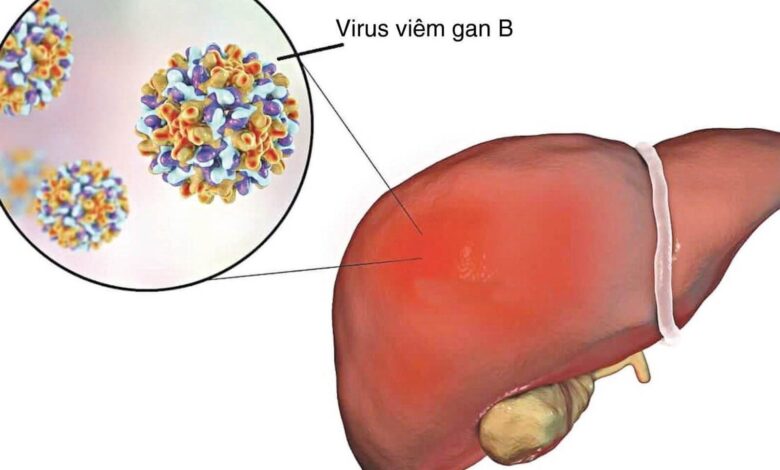 Anti HBs là gì? Chỉ số anti HBs trong cơ thể người - AiHealth