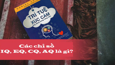 Các chỉ số IQ, EQ, CQ, AQ nghĩa là gì và tại sao chúng quan trọng?