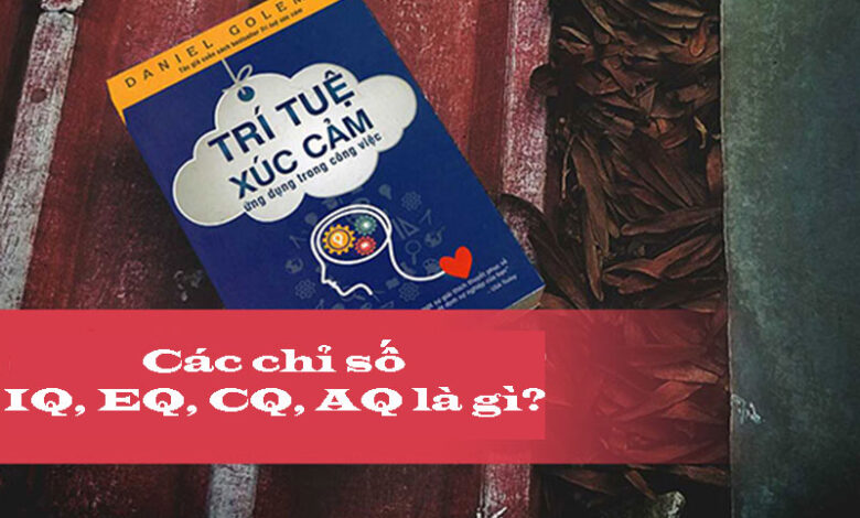 Các chỉ số IQ, EQ, CQ, AQ nghĩa là gì và tại sao chúng quan trọng?