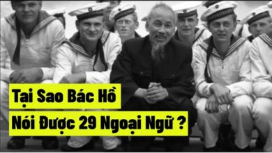 Phương pháp học ngoại ngữ của Bác Hồ và tinh thần tự học