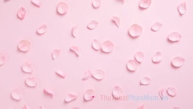 Background Hồng