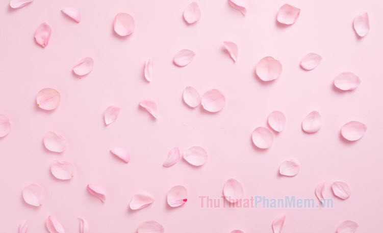 Background Hồng