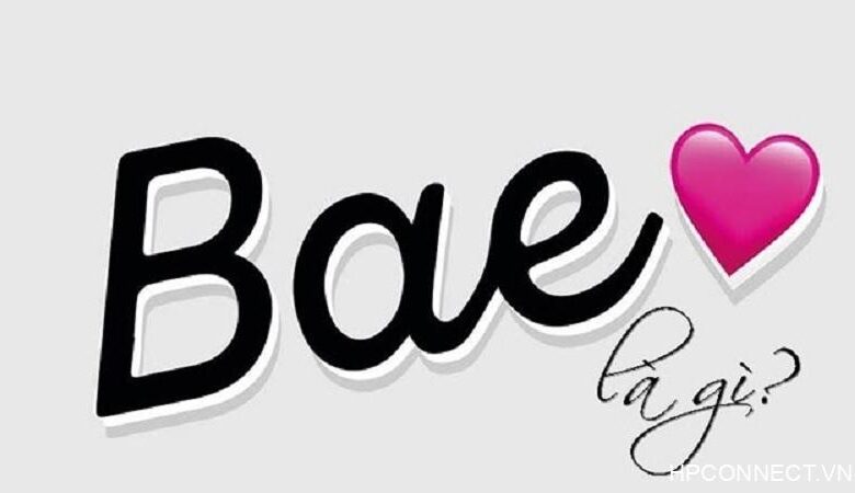 Bae là gì? Bae có nghĩa là gì trên Facebook và các lĩnh vực khác