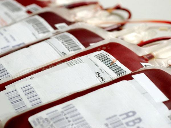 Giá bán máu tại bệnh viện và các chợ đen - Giaidap