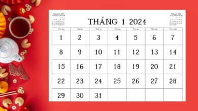 Còn bao nhiêu ngày nữa đến Tết 2024? Đếm ngược Tết 2024