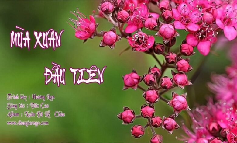 Lời bài hát Mùa Xuân Đầu Tiên – Như Quỳnh x Thế Sơn - Nhạc hot
