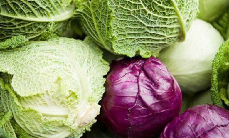 Bắp cải bao nhiêu calo? Ăn bắp cải có giảm cân không?
