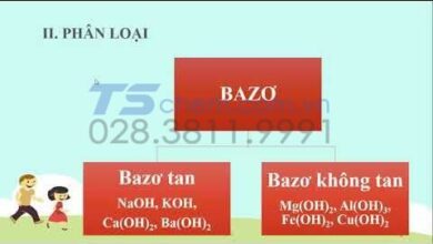 Bazơ Và Những Điều Cần Biết Về Bazơ - Những Bazơ Phổ Biến Nhất