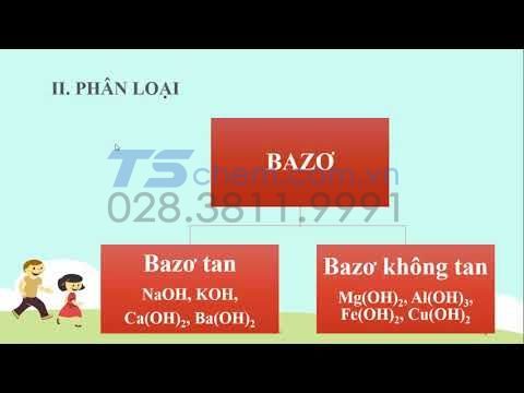 Bazơ Và Những Điều Cần Biết Về Bazơ - Những Bazơ Phổ Biến Nhất