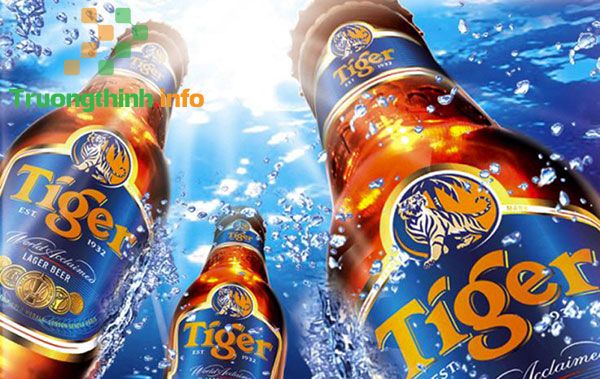 Bia Tiger bao nhiêu độ? Giá bao nhiêu 1 thùng? Các loại bia Tiger