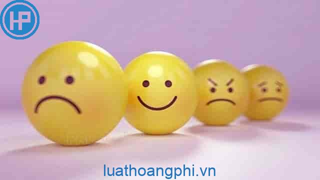 Biểu cảm là gì? - Luật Hoàng Phi