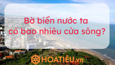 Bờ biển nước ta có bao nhiêu cửa sông? - Hoatieu.vn