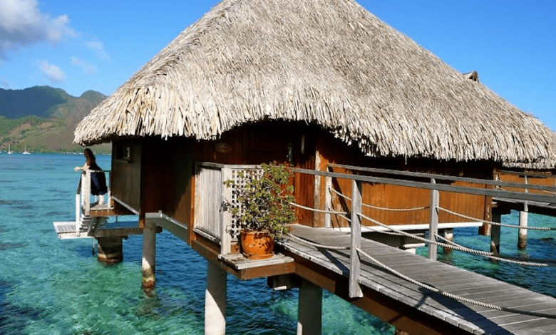 Phòng bungalow là gì? Những điều chưa biết về nhà bungalow
