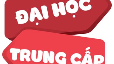Học Trung cấp Chính quy không cần bằng cấp 3 - Xét tuyển học bạ!