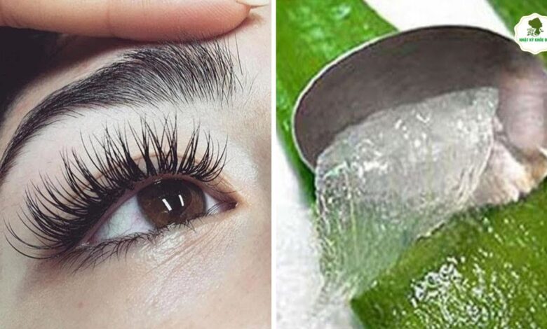 [Bật mí] 3 cách làm lông mi dài và cong vút bằng nha đam - Bestme