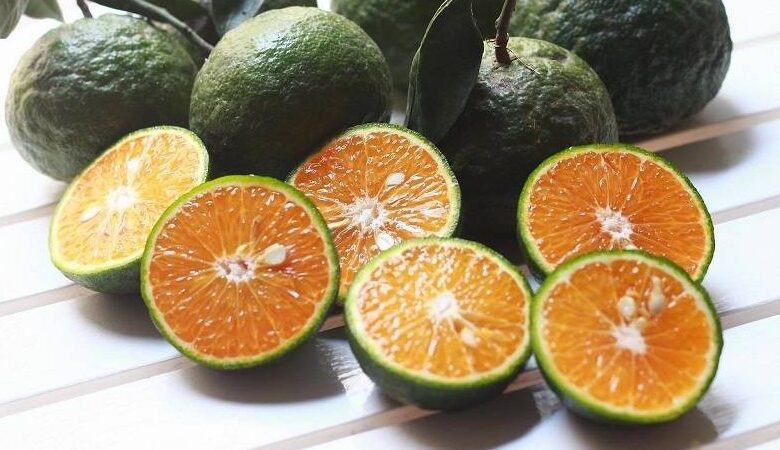 1 quả cam có bao nhiêu calo? Cách giảm cân với cam