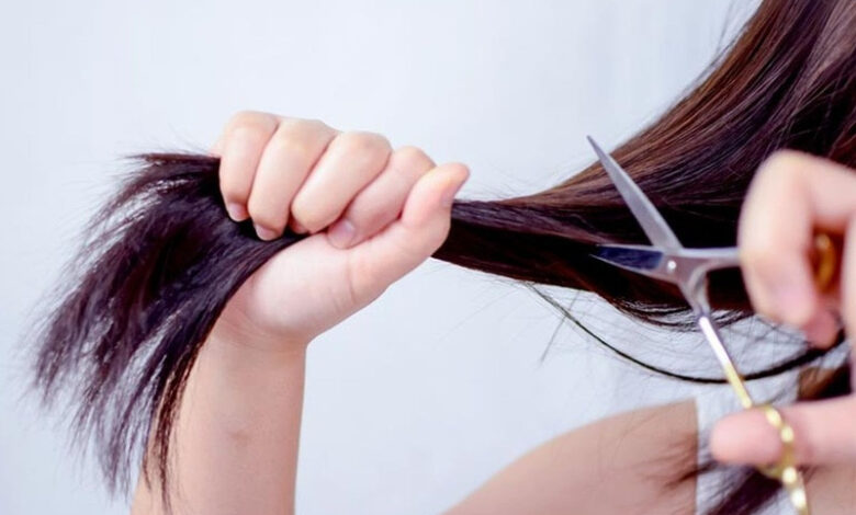 Cắt Tóc Ngày Nào Tốt Để Không Kỵ Đến Phong Thủy, Vận Hạn?