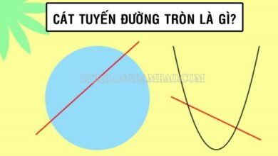 Cát tuyến là gì? Tính chất và cách vẽ cát tuyến như thế nào?