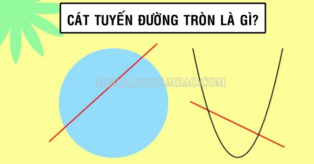 Cát tuyến là gì? Tính chất và cách vẽ cát tuyến như thế nào?