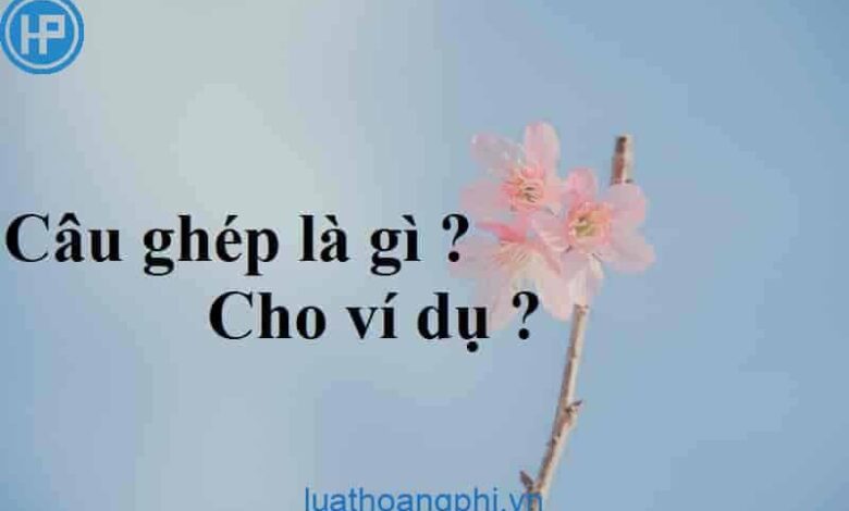 Câu ghép là gì? Ví dụ về câu ghép - Luật Hoàng Phi