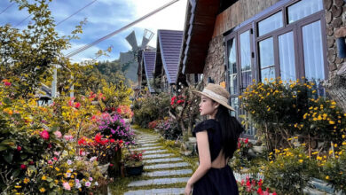Cầu Mây Homestay Tam đảo